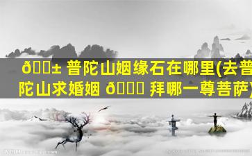 🐱 普陀山姻缘石在哪里(去普陀山求婚姻 🐎 拜哪一尊菩萨)